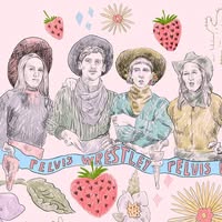 Image not found