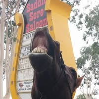 Image not found