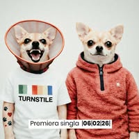 Image not found