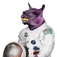 Image not found