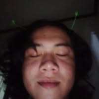 Image not found