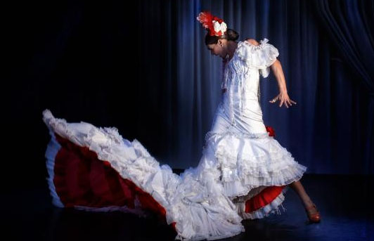 Flamenco Company Malaga